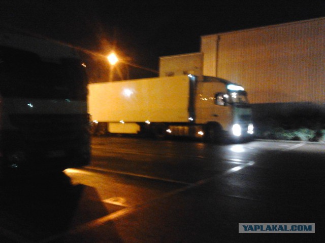 Где яблоки растут!