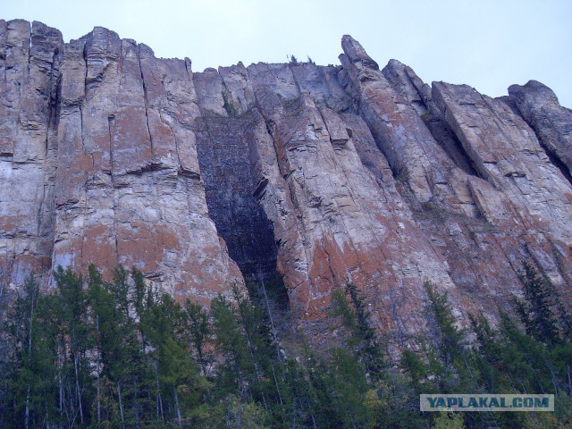 Река Лена