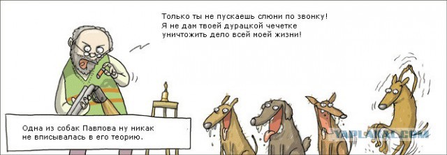 В Германии прошла демонстрация ЗООФИЛОВ