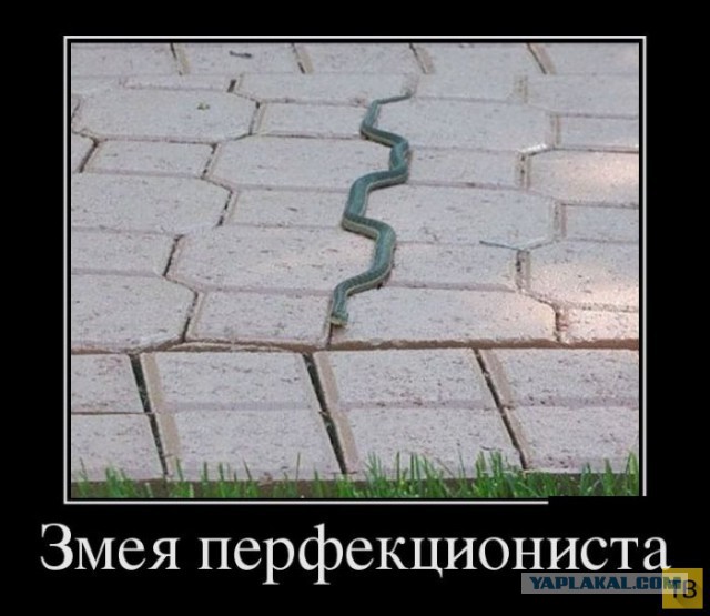 Самые злобные демотиваторы