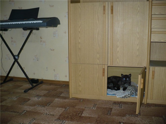 Дом для кота на скорую руку