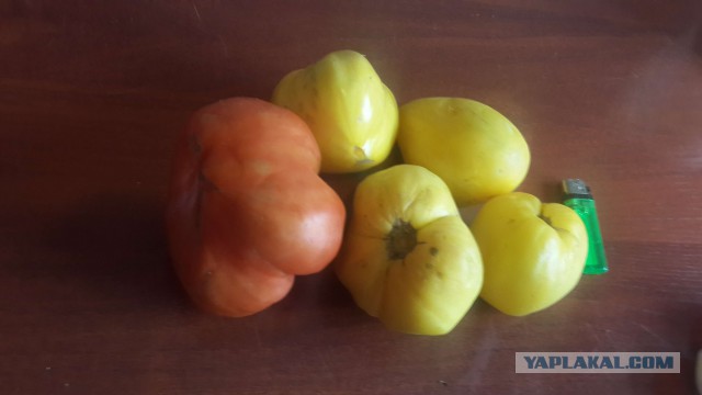 Аццкая кухня