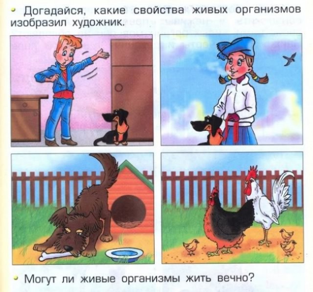 23 задачи из учебников