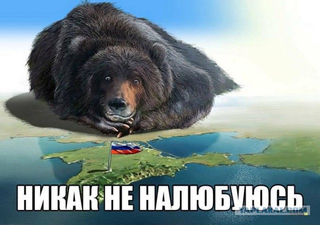 Подборка зарубежной политической крикатуры