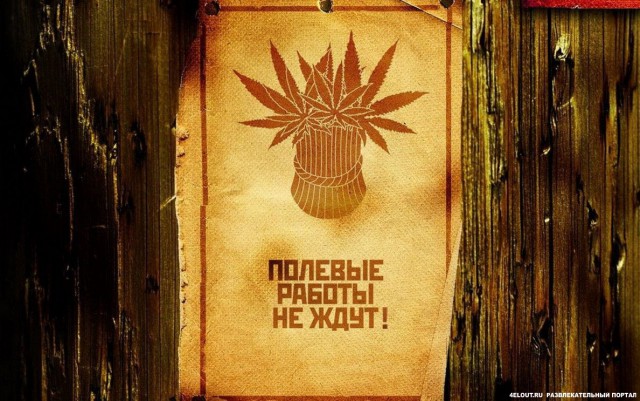 Картинки разные