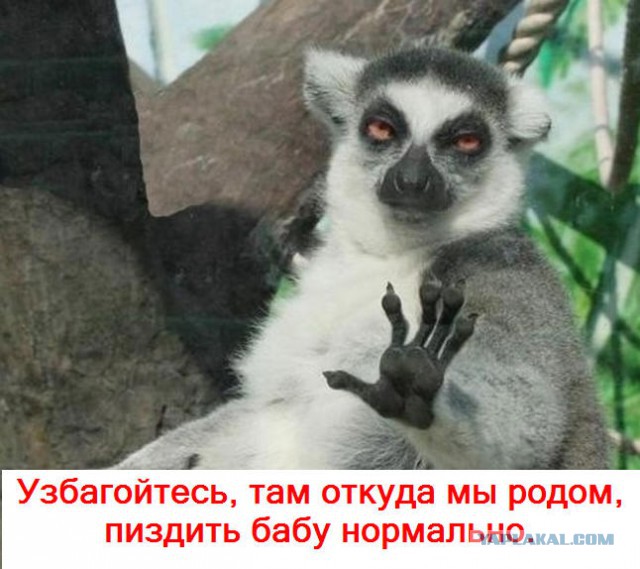 Вздорную бабу и наказать не грех