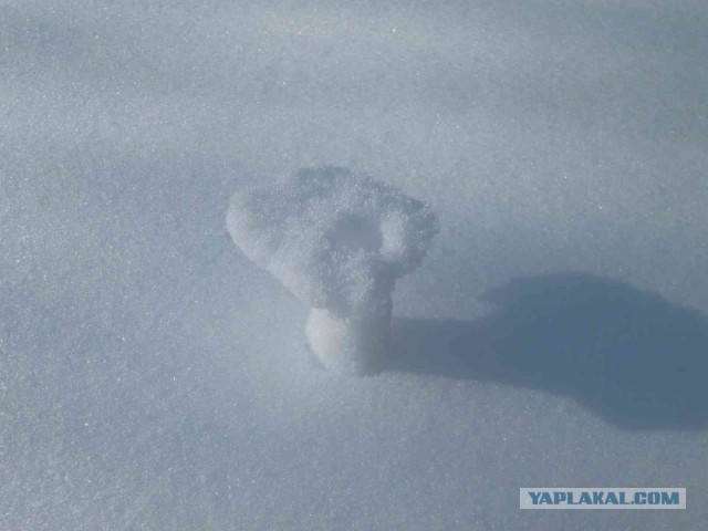 Жутко громко и запредельно близко
