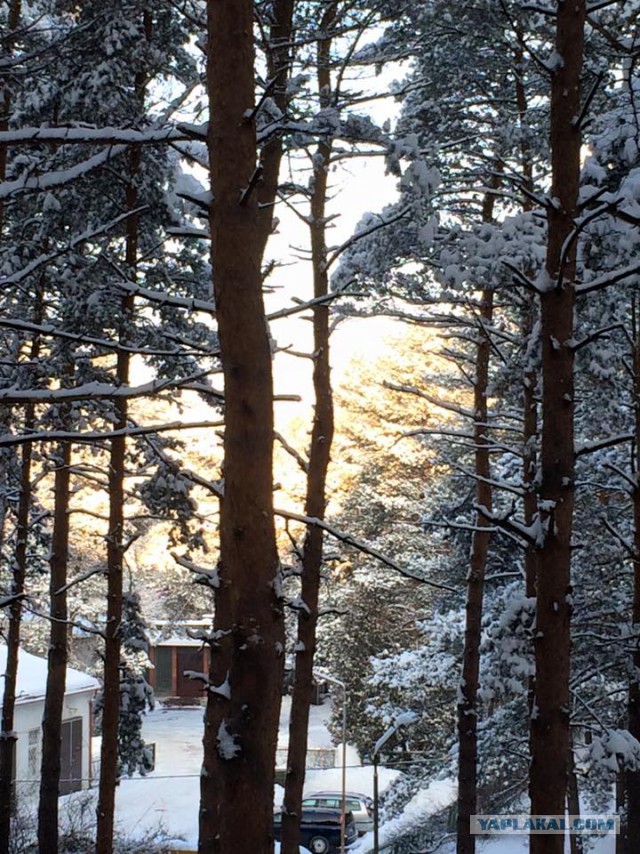 Ташкент, 2 января