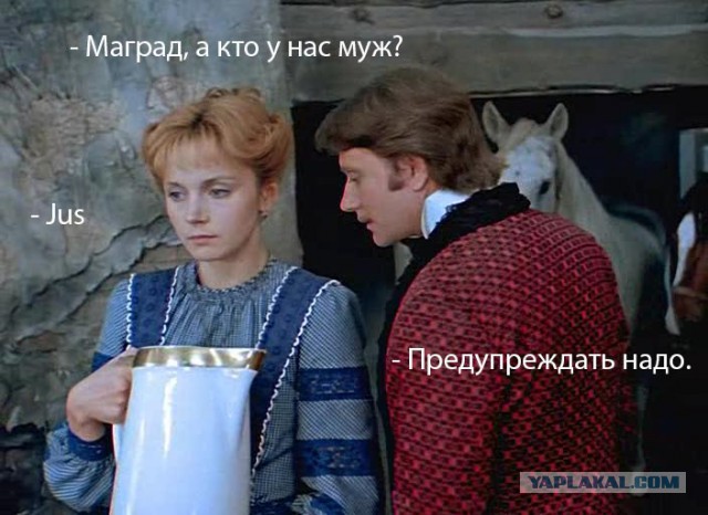Коннор Макгрегор: непобедимый ирландский дьявол
