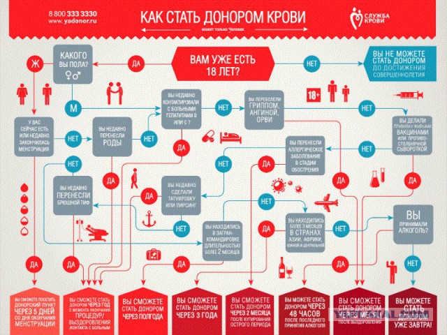 Стать донором крови - это легко!