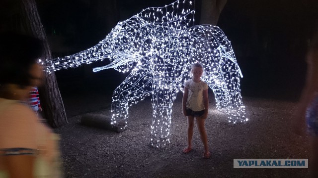 Вечерний Геленджик