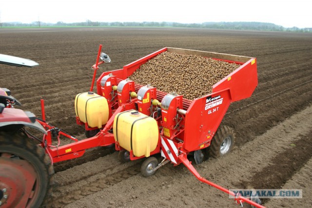 Посадка и окучивание картошки в Нидерландах , все для людей