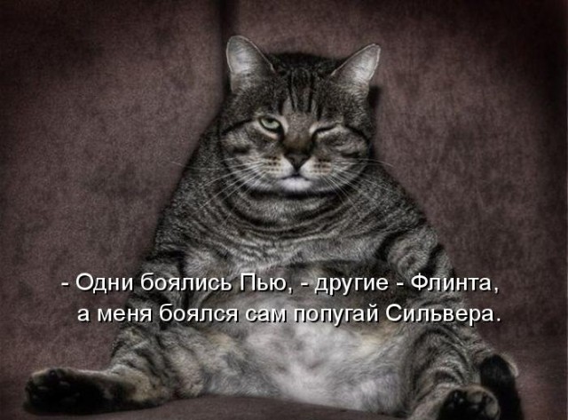 О пользе налогов