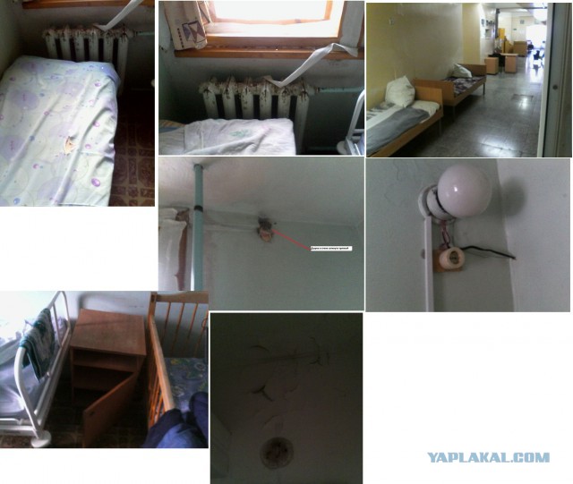 Монолог девушки о ситуации в стране