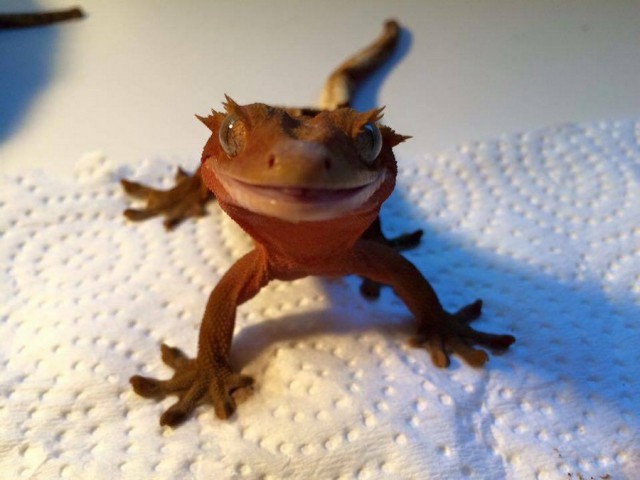 Картинки, интересные и веселые