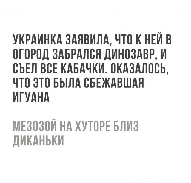 Смешные комментарии из социальных сетей 11.08.2017