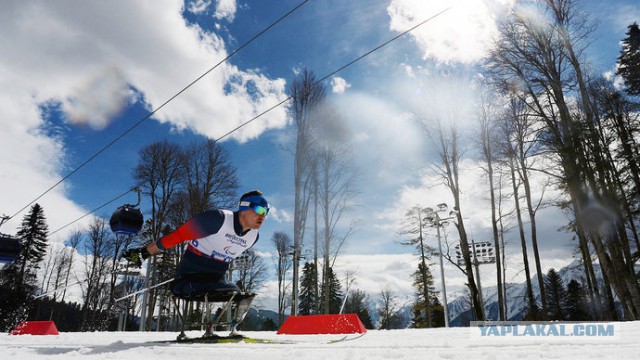 Немцы не выйдут на старт, если лыжницы из России примут участие в Играх