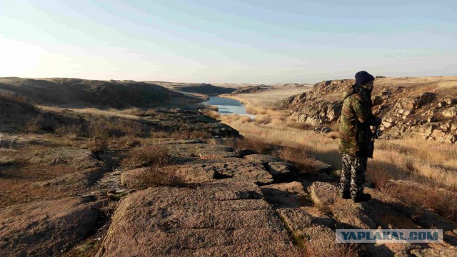 Подборка интересных и веселых картинок