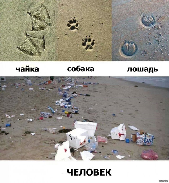 В г.Хотьково Москвичи выкидывают мусор где им удобно не смотря на возмущения местных жителей