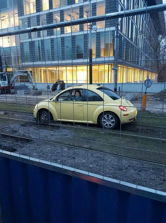 Картинки по-приколу
