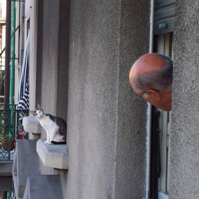 Супер-котофото на котовторник