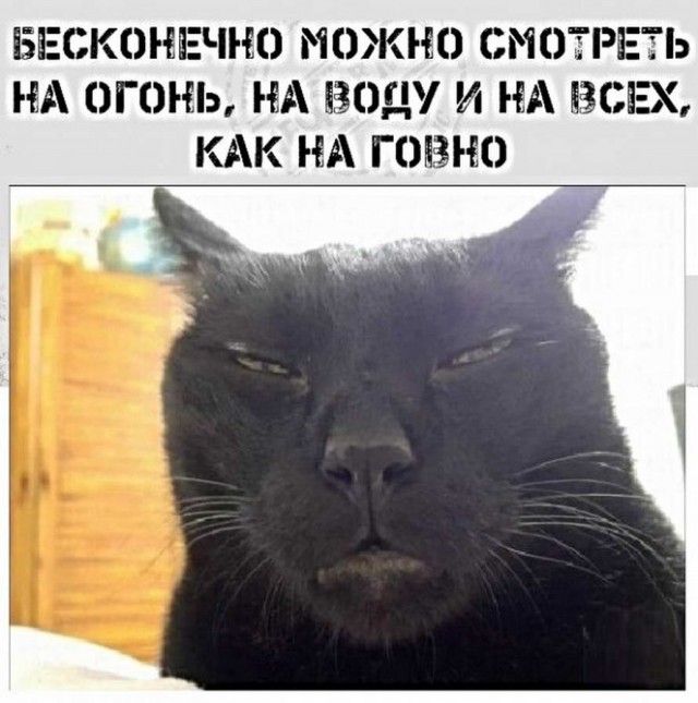 Немного картинок для настроения