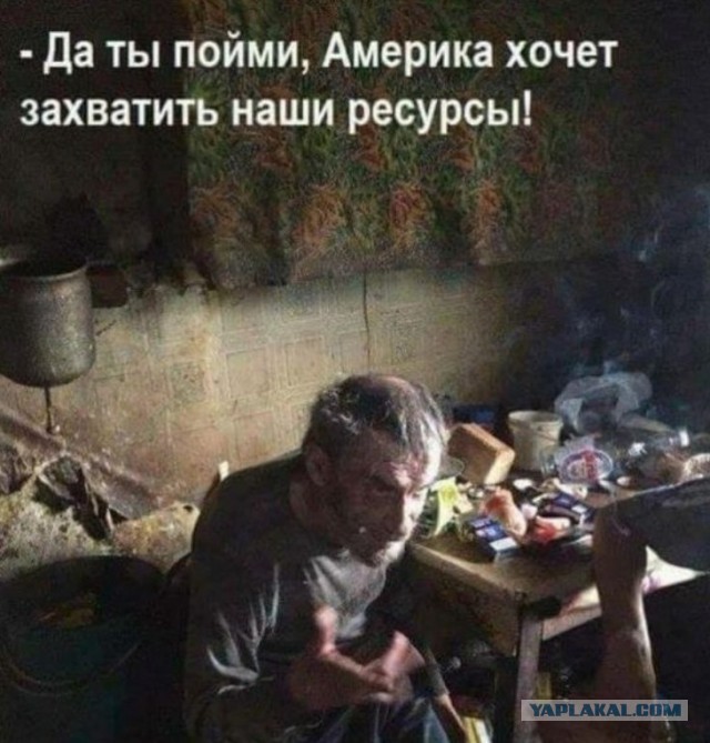Кто готов пойти на войну защищать родину?