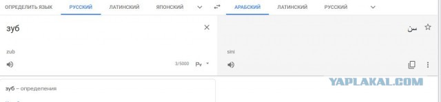 Из практики преподавателя русского языка иностранным студентам