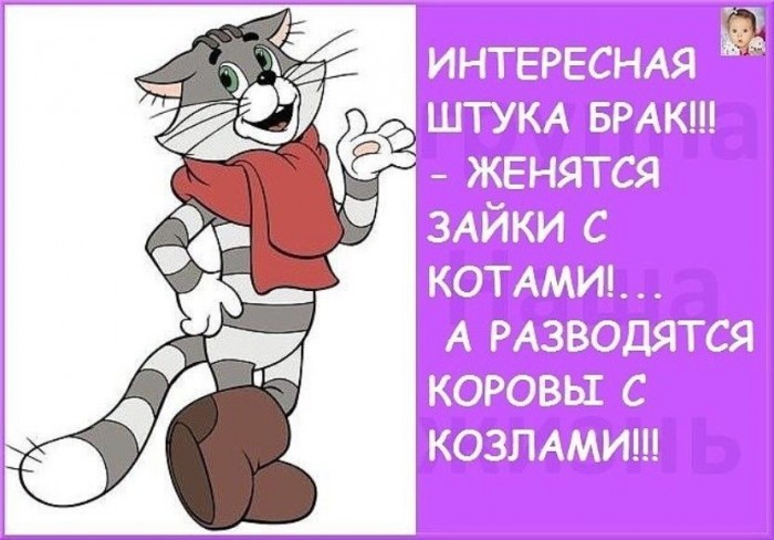 Прелести жизни разведенки