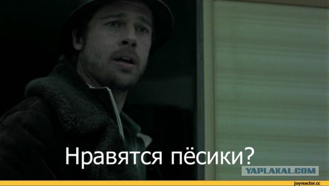 Жизнь цыганской общины в Дублине