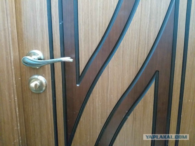 Пятница ведь! Аутентичные пикчи