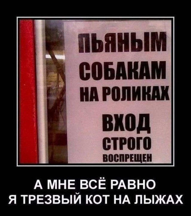 Древние мемы с ВК. Для тех кто забыл #4