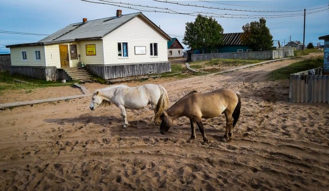 Пленники песчаного рая. Как у Белого моря живет село, почти отрезанное от цивилизации