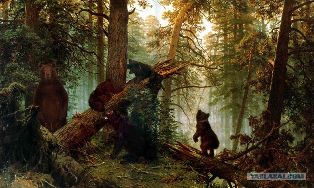 "Смелый" мишка