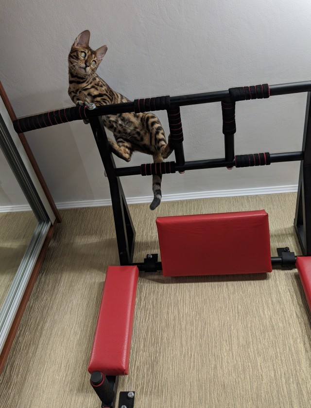 Моя красотка