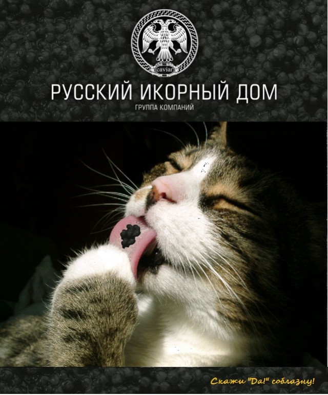 Выиграй 3кг черной икры!