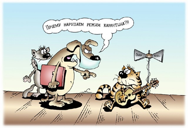 С котопятницей! Улыбнемся?