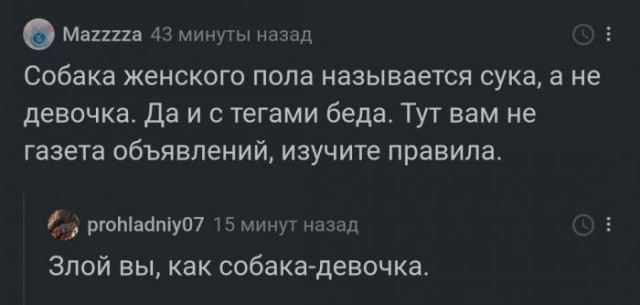 Картинки и мемы для настроения 003