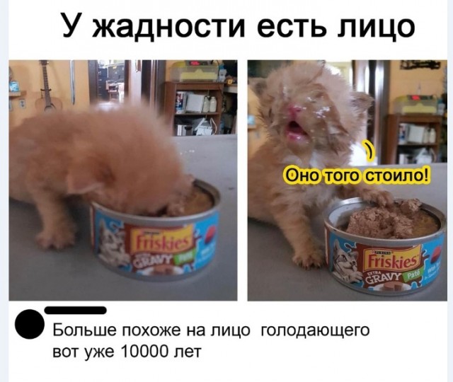 Картинки и мемы для настроения 012