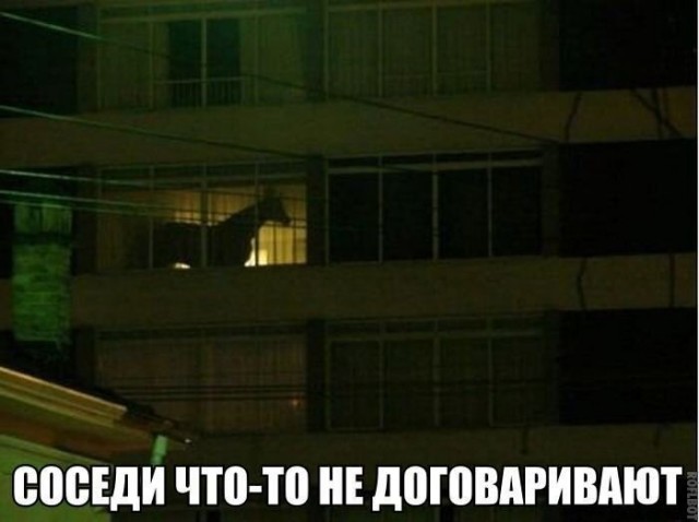 Так себе картинки 11.03.2021