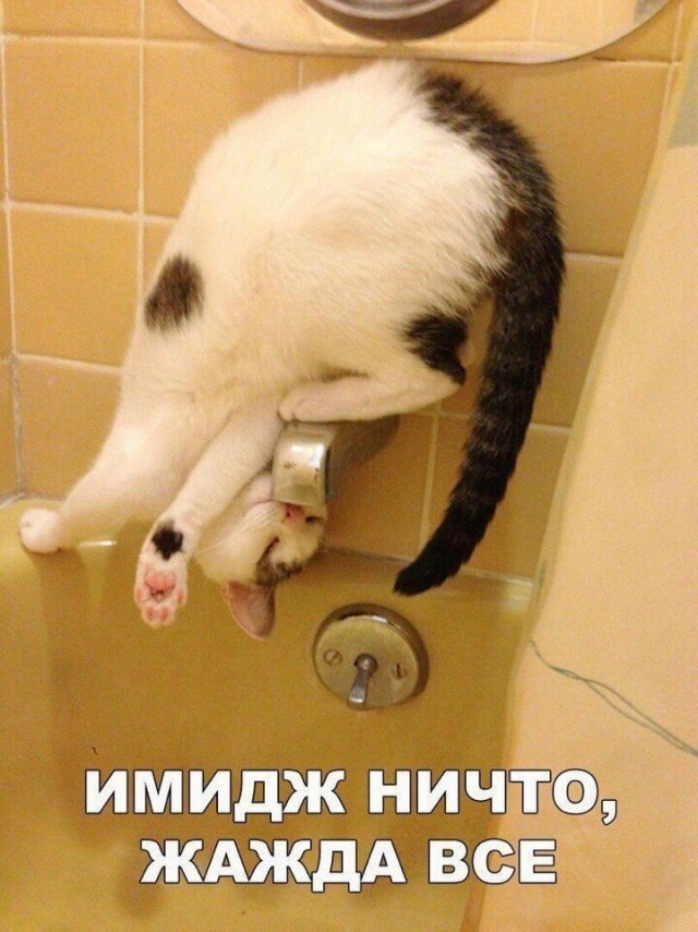 Так себе картинки 14.03.21
