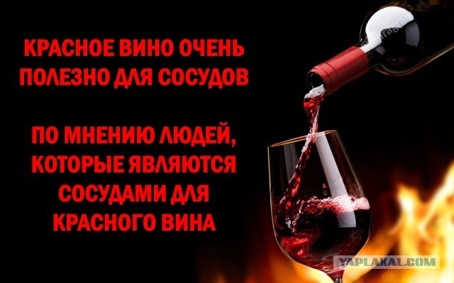Лучший сомелье России разнес ПМЭФ 21 за непатриотизм