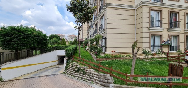 Живу в Стамбуле