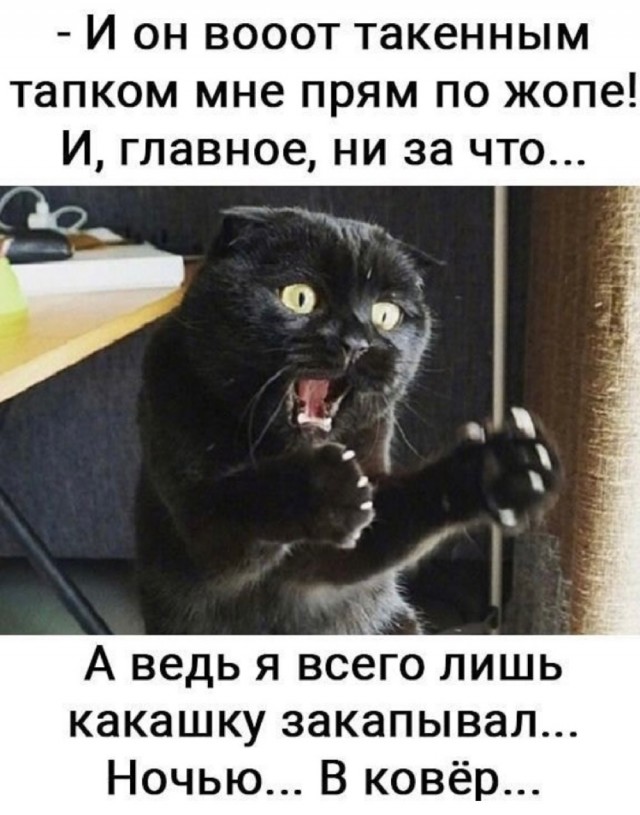 Так себе картинки 13.08.21