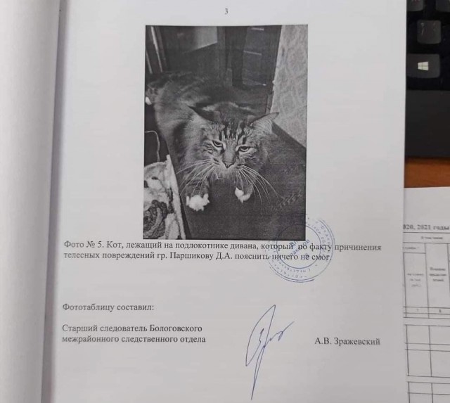 Каталог советских игрушек. Практически описание тяжелого похмела