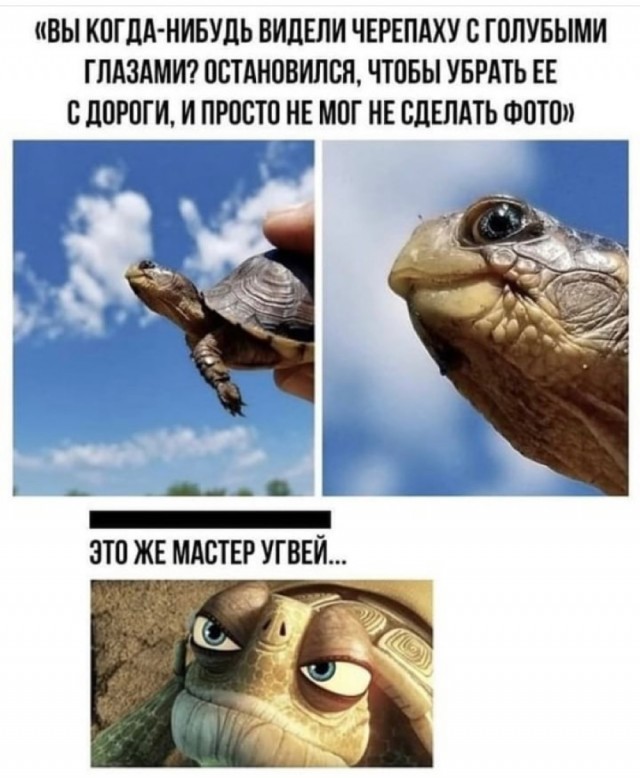 Картинки и мемы для настроения 24.08.2021