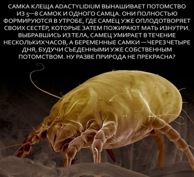 Так себе картинки 09.11.21