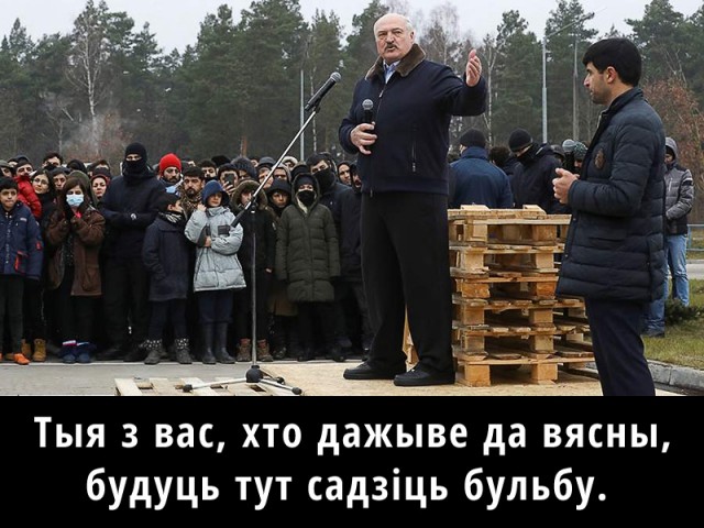 Так себе картинки 28.11.21