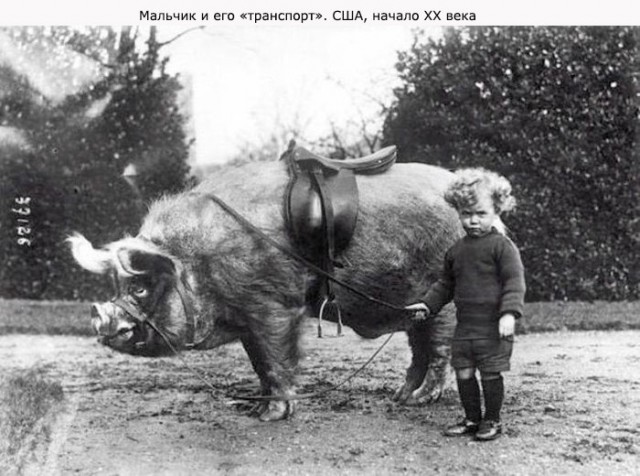 РетроФотоАссорти. Вторая январская сборка 2022