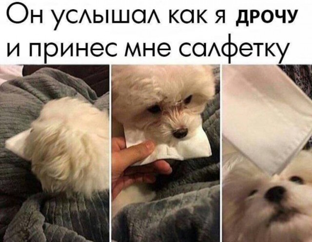 Картинки аморальные и всякие разные - 27